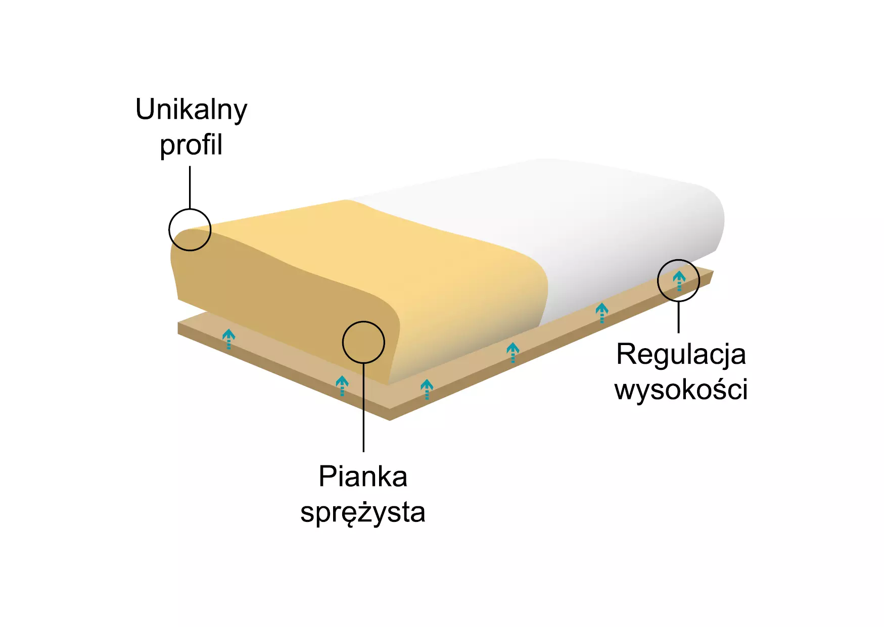 poduszka-ortopedyczna-do-spania-z-pamiecia-ksztaltu-profilowana-morfeusz-klasyczny-reha-fund-3.webp