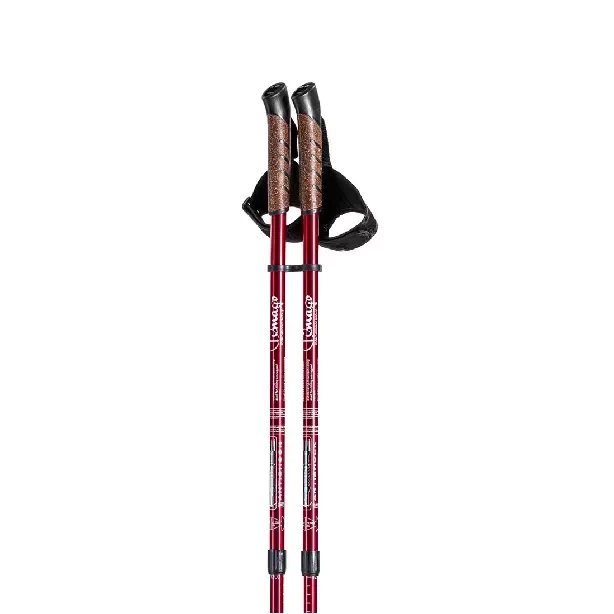 kijki-trekkingowe-do-nordic-walking-timago-3.webp
