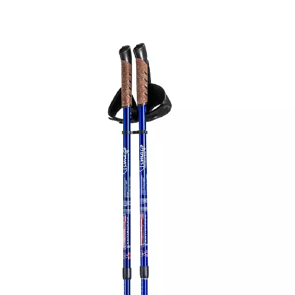 kijki-trekkingowe-do-nordic-walking-timago-4.webp