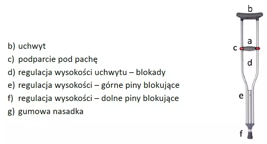 kula-pachowa-czarna-regulowana-handy-tim-timago-specyfikacja.webp
