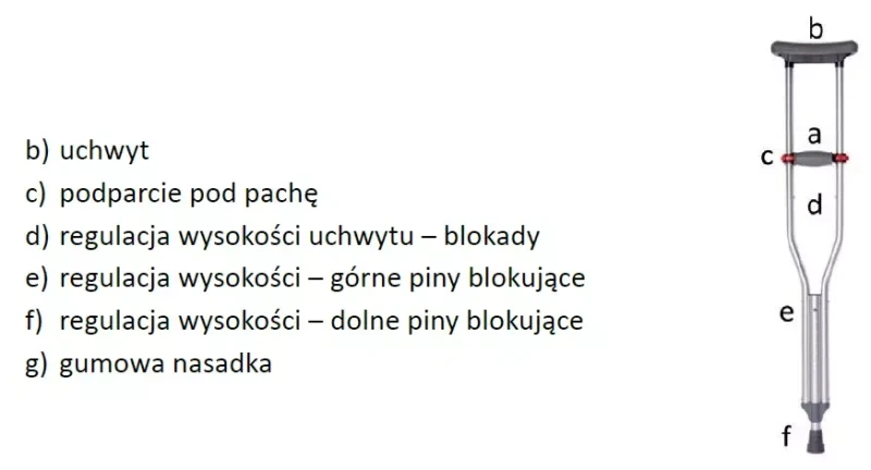 kula-pachowa-czarna-regulowana-handy-tim-timago-specyfikacja.webp