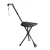 laska-inwalidzka-regulowana-z-siedziskiem-seattim-30553.webp