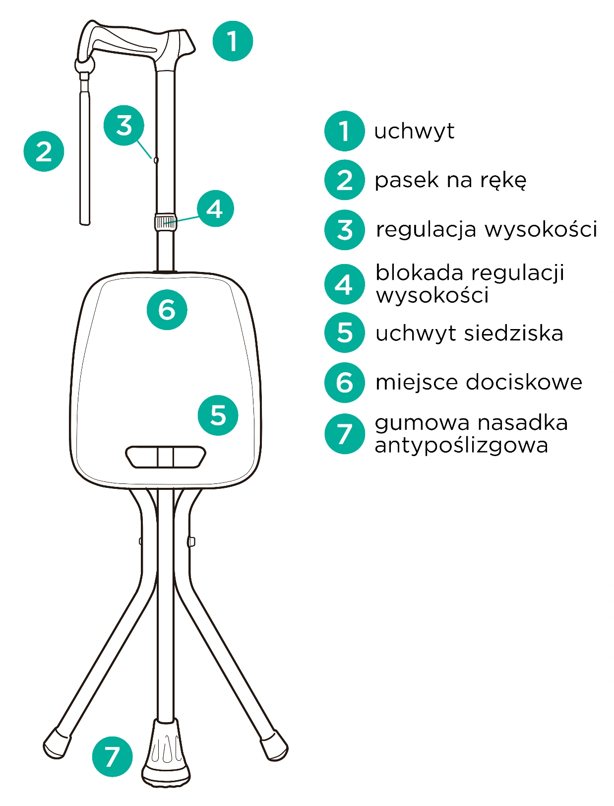 laska-inwalidzka-regulowana-z-siedziskiem-seattim-informacje.webp