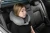 poduszka-ortopedyczna-szara-travel-tim-69012.webp
