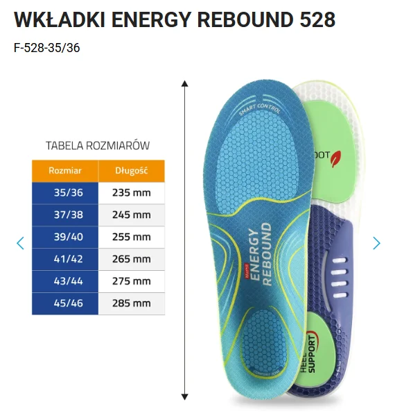 rebound528.webp