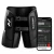spodenki-kompresyjne-na-uda-posladki-i-dol-plecow-masazer-normatec-premier-hips-.webp