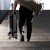 skarpety-kompresyjne-biznesowe-medyczne-business-socks-meskie-cep-13.jpg