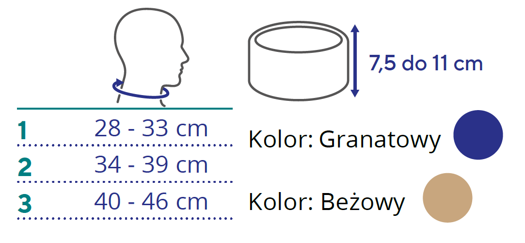 ortel-c2-plus-polsztywny-kolnierz-ortopedyczny-na-szyjne-tabela-rozmiarow-thuasne.png