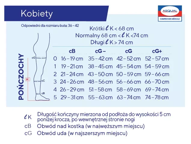 ponczochy-uciskowe-dla-kobiet-przeciwzylakowe-1-stopien-kompresji-secret-oapque-venoflex-tabela-rozmiarow.webp